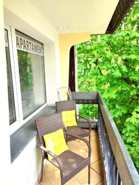 Apartament Bialy Mis Centrum Zakopane Exterior photo